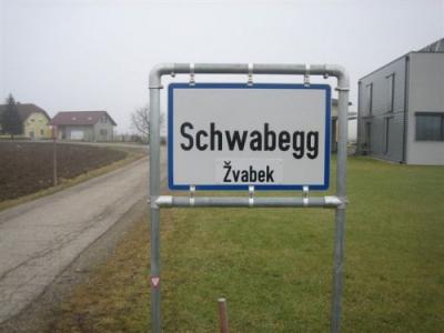 Haider nori tudi v Žvabeku